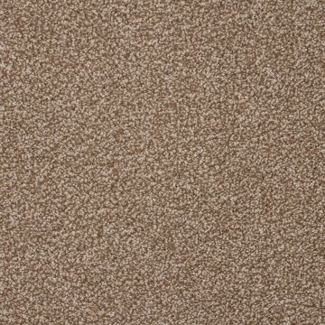 Stainfree Affluence Twist Carpet - 10 Hazelnut-4m