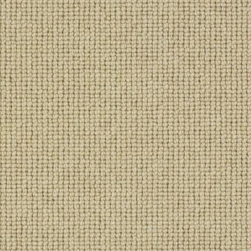 Charter Plain Carpet-10 Montadale-4m