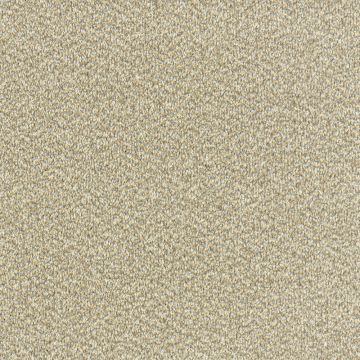 Invincible Tweed Stain Resistant Twist Carpet-12 Cool Beige/Barley-4m