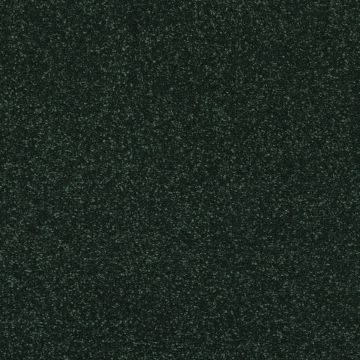 20 Fir Green-4m