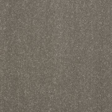 Stainfree Captivation Super Soft Twist Carpet-13 Seneca Rock/Muddy Puddle-4m