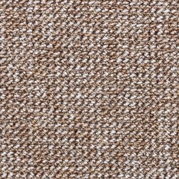 Titan Loop Carpet-1414 Mink-4m