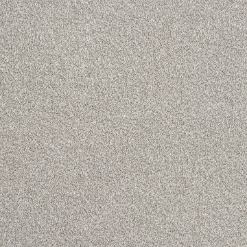 Invincible Rustic Carpet-16 Greystone/Greige-4m