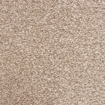 Auckland Saxony Carpet