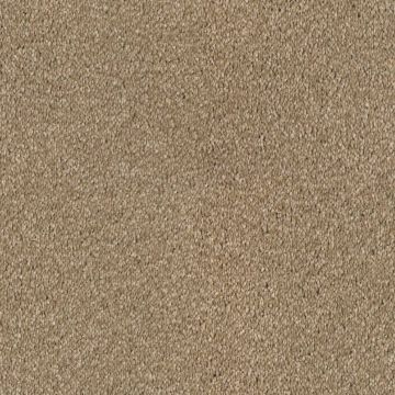 Bellelux Saxony Carpet-231 Beach-4m
