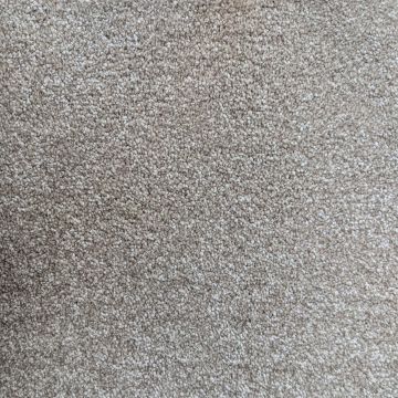 Auckland Saxony Carpet-273 Mushroom-4m
