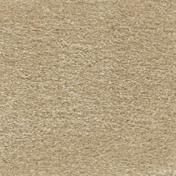 Aurelius Carpet-35 Golden Honey-5m