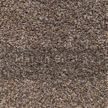 Patterdale Saxony Carpet-626 Blush-4m
