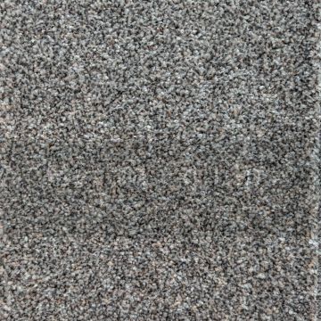 Patterdale Saxony Carpet-637 Stone-4m
