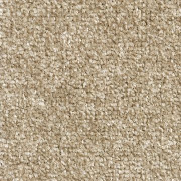 Pronto Saxony Carpet-70 Cashmere-4m