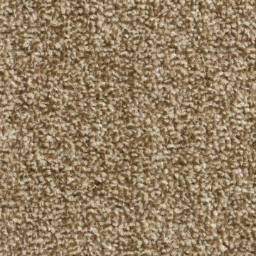 Pronto Saxony Carpet-72 Truffle-4m