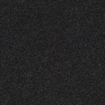 Bellelux Saxony Carpet-801 Ebony-4m
