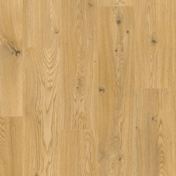 Forester 8mm Laminate Donard oak