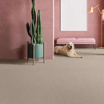 Amesbury Recycled Yarn Loop Carpet