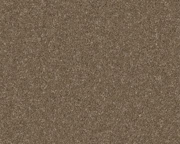 Presence Carpet - Angora-4m