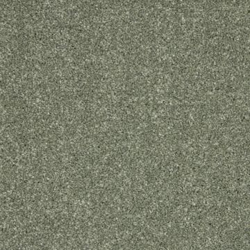 Rosneath Carpet - Asparagus-4m
