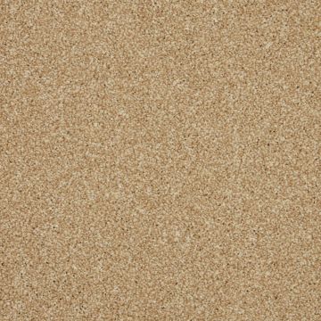 Rosneath Carpet - Beach Haven/oldHoisin Sauce-4m