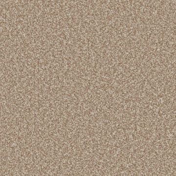 Sandown Carpet - Castor-4m