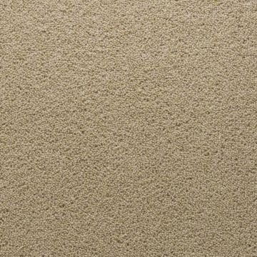 Stateside 40oz Colourful Wool Twist Carpet-Chicago-4m
