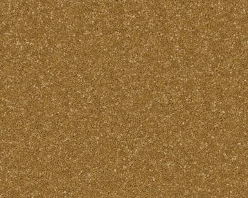 Presence Carpet - Dandelion-5m