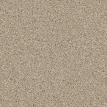 Distinction Carpet - Bagel-4m