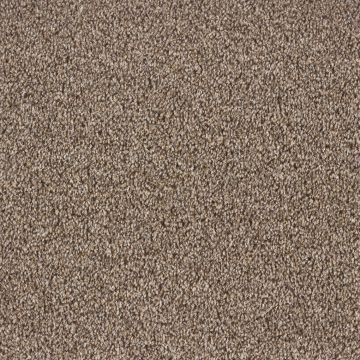 Dublin Twist Carpet-42 Mink-4m