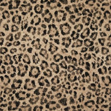 Walace Wilton Pattern Carpet-Dunbar-4m