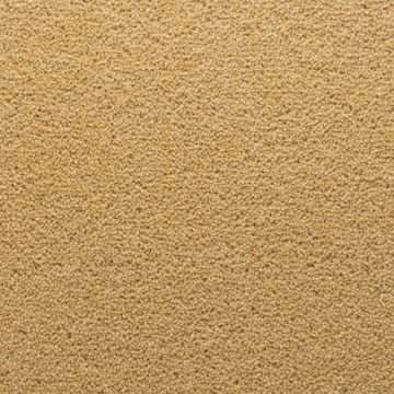Stateside 40oz Colourful Wool Twist Carpet-Ellis-4m
