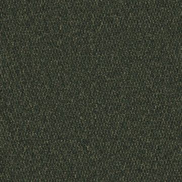 Gobi Loop Berber Carpet-2204 Palm-4m