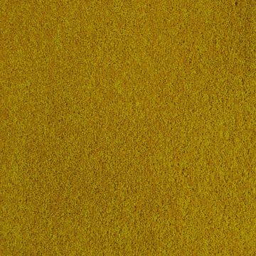 Stateside 40oz Colourful Wool Twist Carpet-Goldsboro-4m