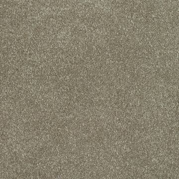 Regal Touch Luxurious Heavy Twist Carpet-01 Taupe/Grand-4m