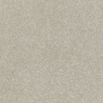 Dolomite Carpet - Ground Frost-4m