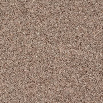 Moorside Heathers Elite Carpet - Hornbeam-4m