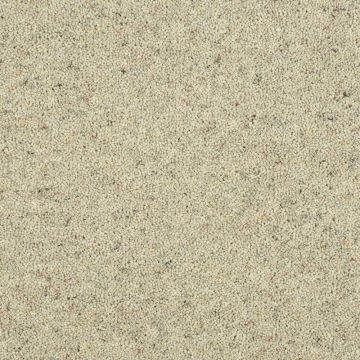 Kingsbury Carpet-01 Clarefield-4m