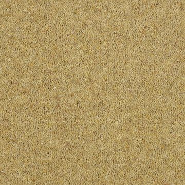 Kingsbury Carpet-15 Goldsmith-4m