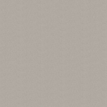 FD Collection Pattern Carpet-Lida 1/FDX03-4m