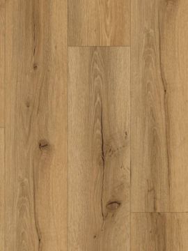 Aspekt SPC Liffey Oak