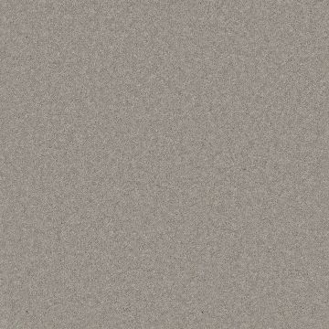 Providence Carpet - Arcus Cloud-4m