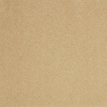 Providence Carpet - Mustard Seed-4m