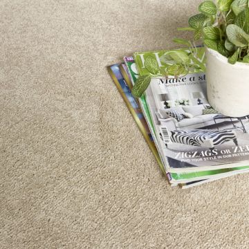 Stainfree Reflections Twist Carpet