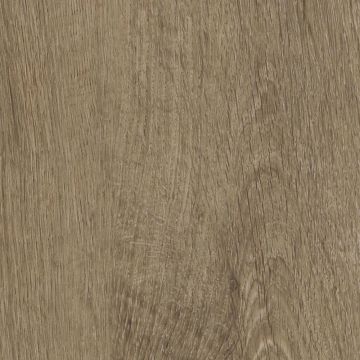 Invictus Primus Click Royal Oak Mocca
