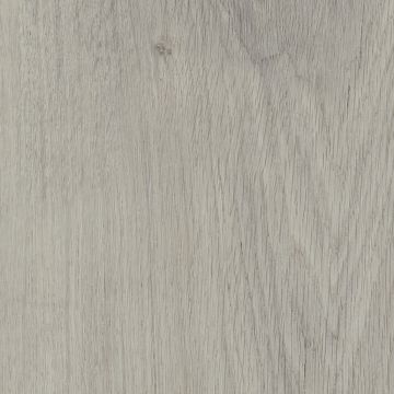 Invictus Primus Click Royal Oak Dove