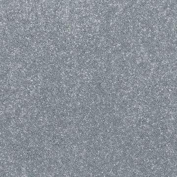 Dolomite Carpet - Salvia 4m