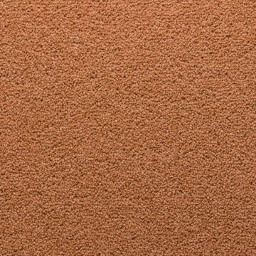 Stateside 40oz Colourful Wool Twist Carpet-Sheridan-4m