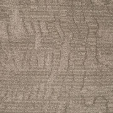 Timorous Beasties Wool Patterned Carpet-Silt Moire-4m