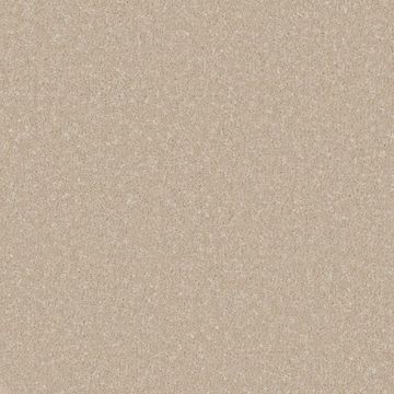 Sandown Carpet - Steel Grey-4m