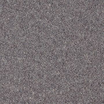 Moorside Heathers Elite Carpet - Tamari-4m