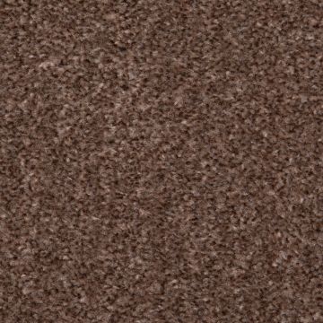 Sands Twist Carpet-Truffle-5m