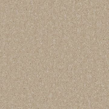 Tuscany Elite Carpet - Barley Bread-4m