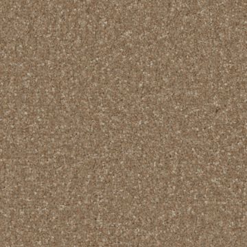 Tuscany Elite Carpet - Brown Owl-4m
